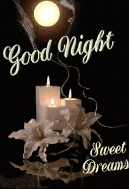 Good Night Goodnight GIF