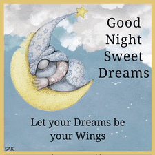 Good Night Goodnight Meme