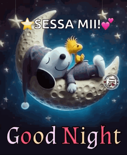 Good Night Goodnight GIF