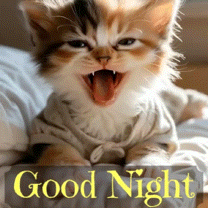 Good Night Goodnight GIF