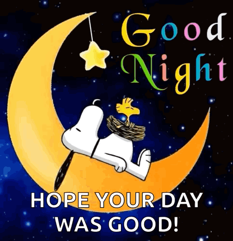Good Night Goodnight GIF