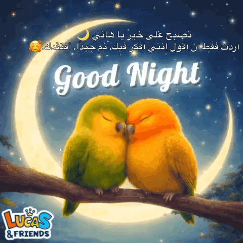 Good Night Goodnight GIF