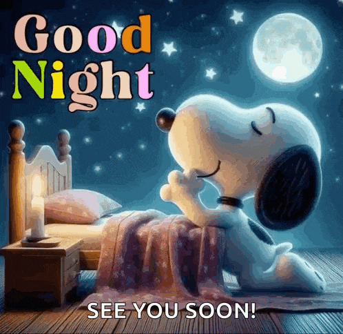 Good Night Goodnight GIF