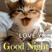 Good Night Goodnight GIF
