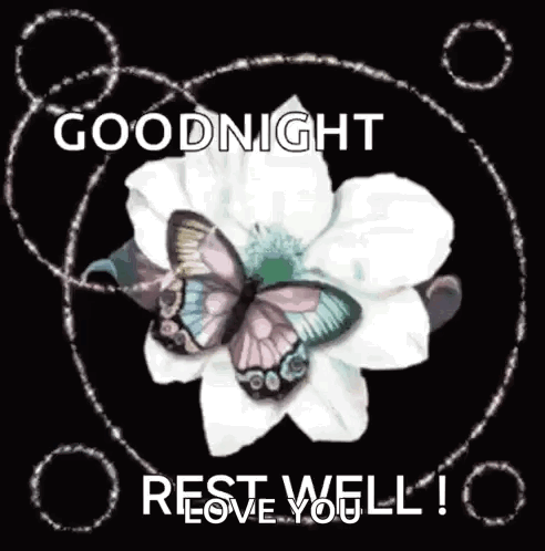Good Night Goodnight GIF