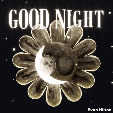 Good Night GIF. This 480 x 480 animated GIF is part of our immagini buona serata collection. Related themes include flower, good, good night. Created by…