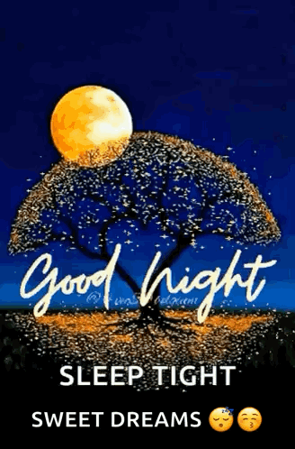 Good Night GIF