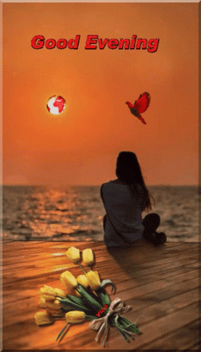 Good Night Images GIF. This 284 x 498 animated GIF is part of our immagini buona serata collection. Created by fodorne2010. View the original animation…