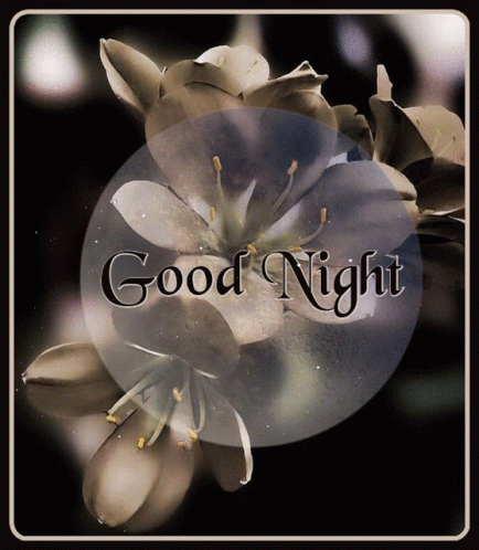 Good Night GIF