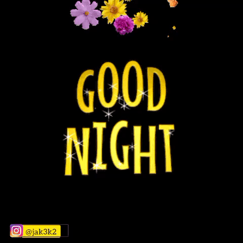 Good Night Life2k9 GIF