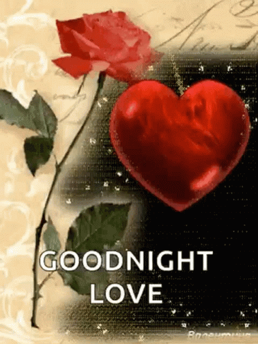 Good Night Love Flower GIF