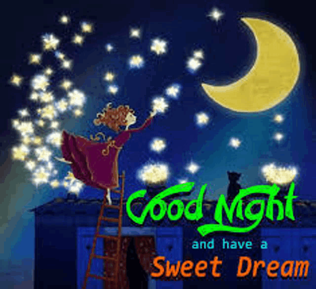 Good Night Meme