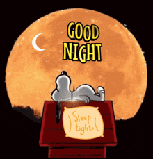 Good Night GIF