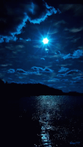 Good Night GIF