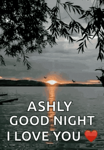 Good Night Night GIF
