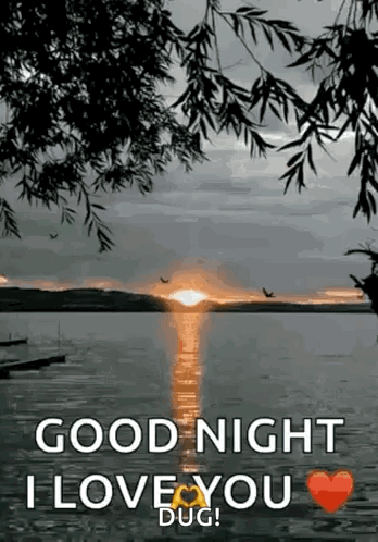 Good Night Night GIF