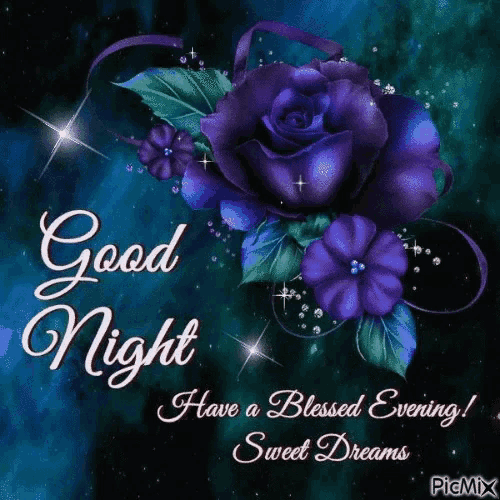 Good Night Purple GIF
