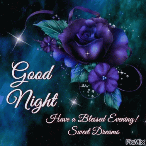 Good Night Purple GIF