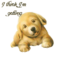 Good Night Sticker