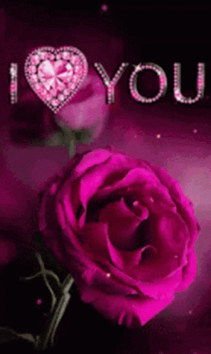 Good Night GIF