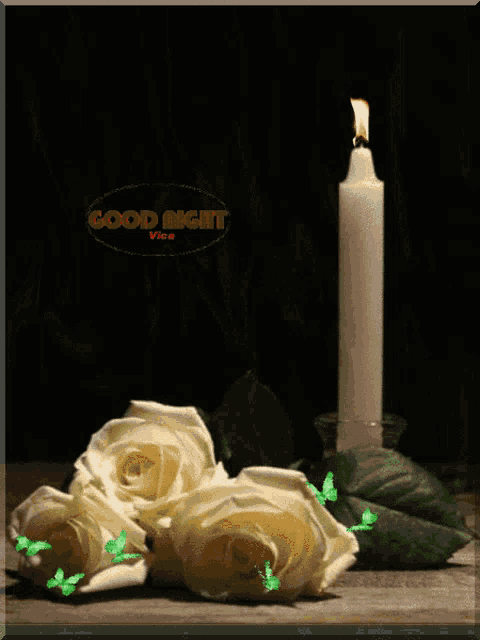 Good Night GIF