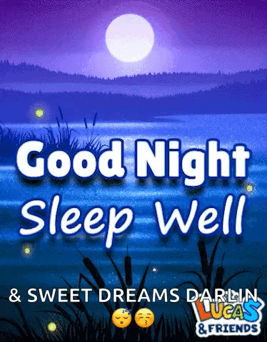 Good Night Sleep Well GIF