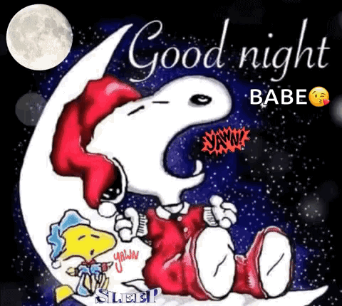 Good Night GIF