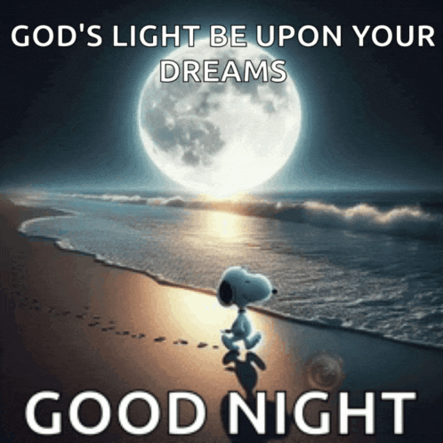 Good Night Snoopy Meme