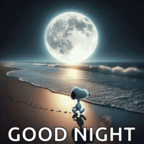 Good Night Snoopy Meme