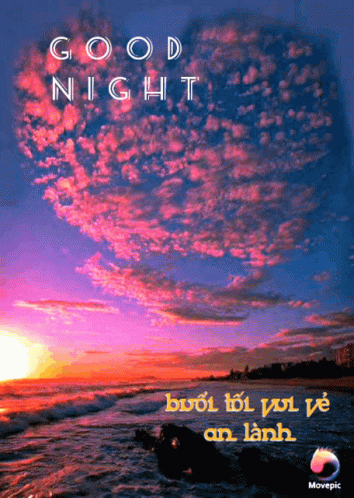 Good Night GIF