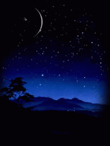 Good Night Stars GIF