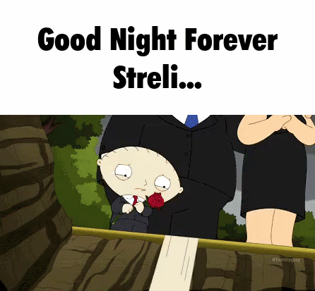 Good Night Streli Strelicat GIF