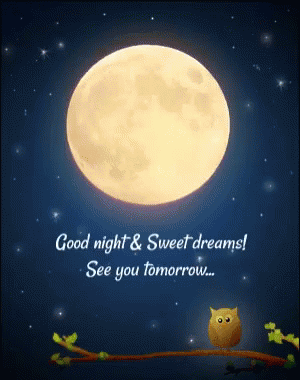 Good Night Sweet Dreams GIF