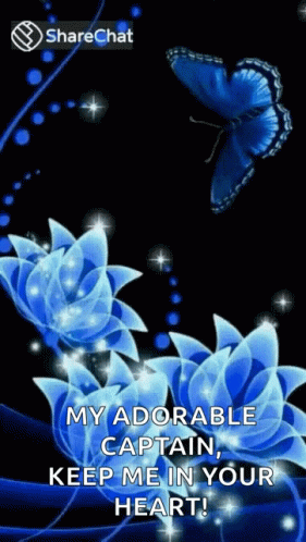 Good Night Sweet Dreams GIF