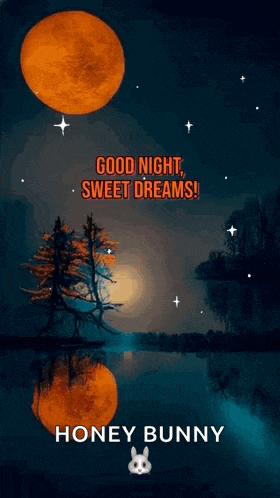 Good Night Sweet Dreams GIF
