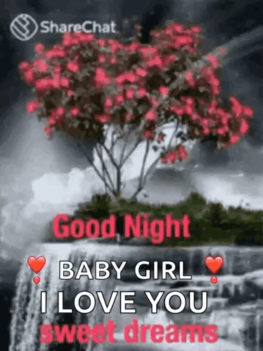 Good Night Sweet Dreams GIF