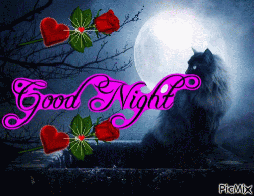 Good Night Sweet Dreams GIF