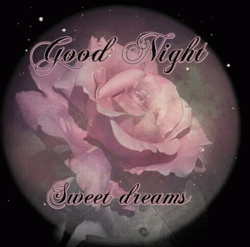 Good Night GIF