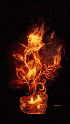 Good Night GIF