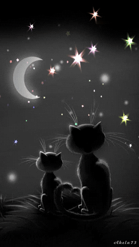 Good Night GIF