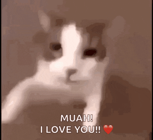 Good Night GIF