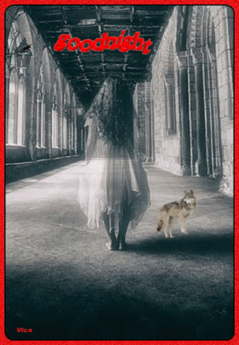 Good Night GIF. This 345 x 498 animated GIF is part of our hantu collection. Related themes include good night. Created by fodorne2010. View the original…