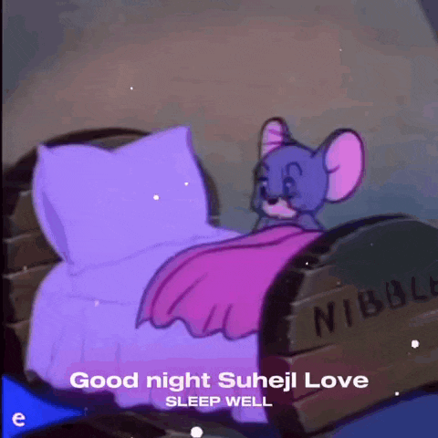 Good Night GIF
