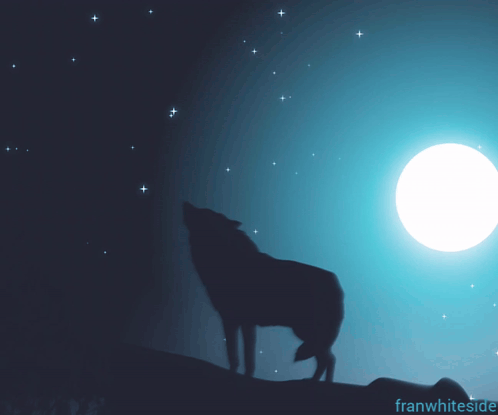 Good Night Wolf Howling At Moon GIF