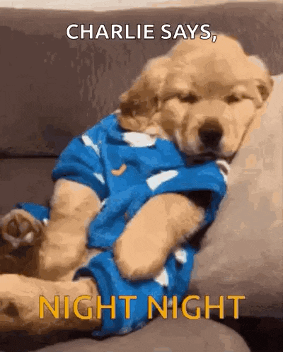 Good Night GIF