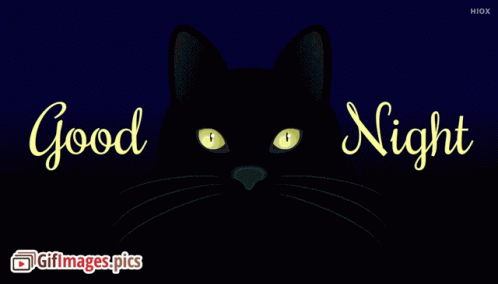 Good Night GIF