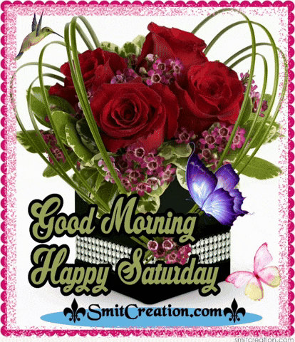 Good Saturday Morning GIF