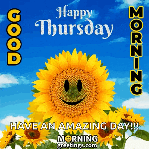 Good Thursday Morning GIF