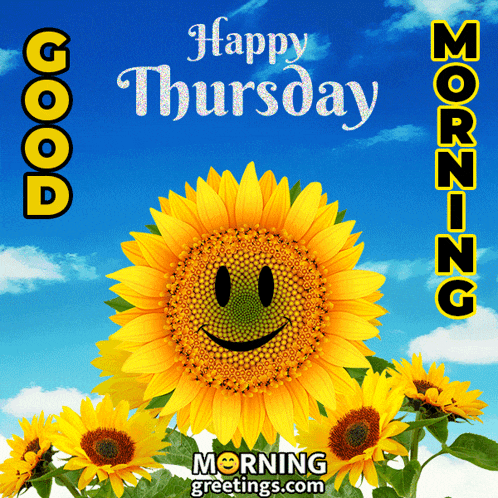 Good Thursday Morning GIF