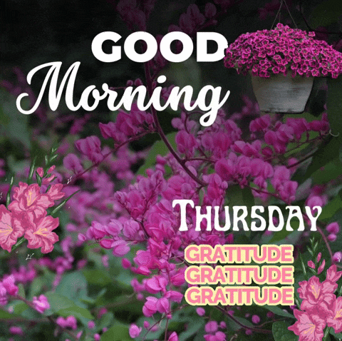 Good Thursday Morning GIF